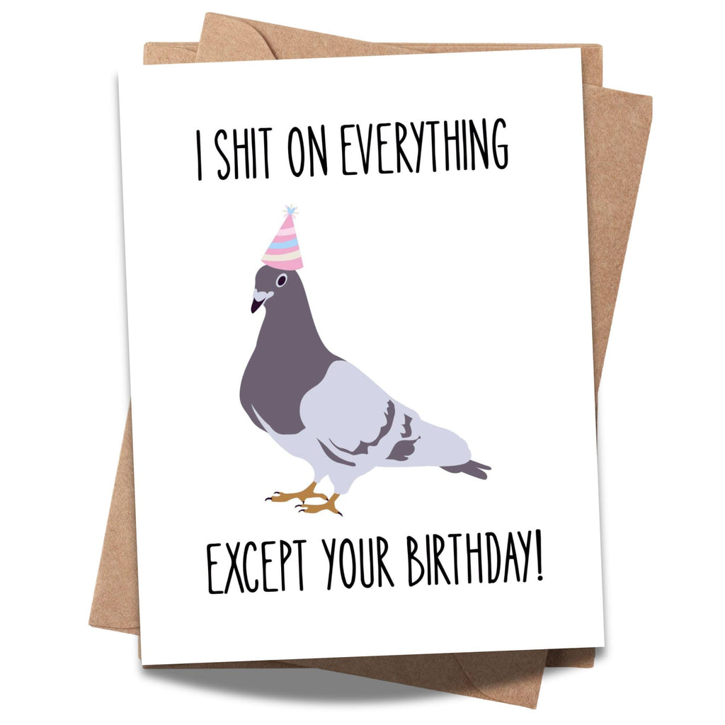 Funny Pigeon Birthday Card Hilarious Bird Illustration with Party Hat – Sarcastic Birthday Greeting for Men, Women, Friends & Coworkers – Handmade USA