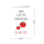 Mother’s Day Card – Sweet & Heartfelt Greeting for Mom, Stepmom, Aunt, or Grandma – Appreciation Gift with Envelope