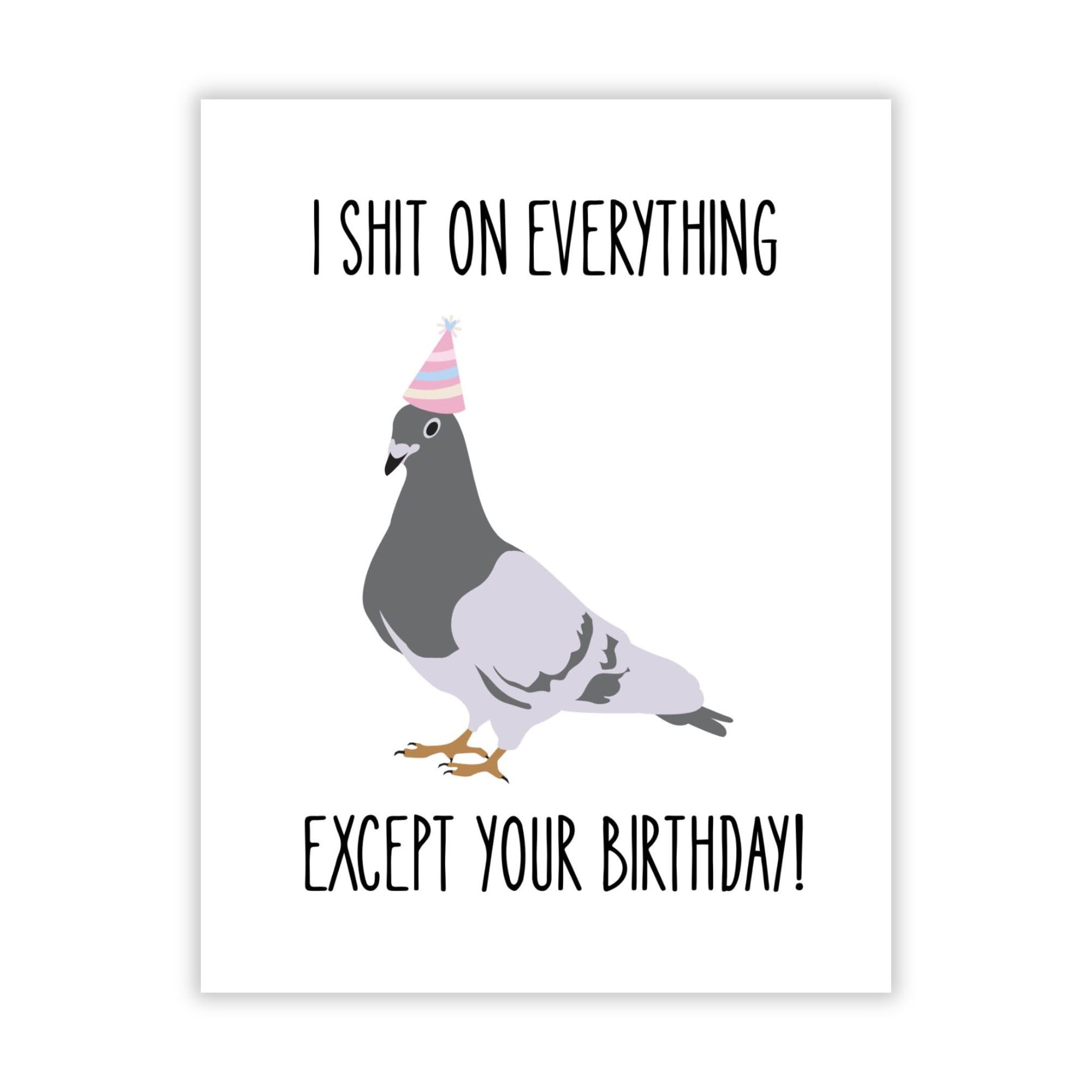 Funny Pigeon Birthday Card Hilarious Bird Illustration with Party Hat – Sarcastic Birthday Greeting for Men, Women, Friends & Coworkers – Handmade USA