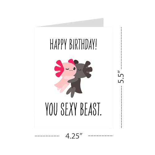 Funny Sexy Birthday Card – Flirty Card for Boyfriend, Girlfriend, Husband, Wife – Valentine’s or Anniversary – Happy Birthday You Sexy Beast – USA Made